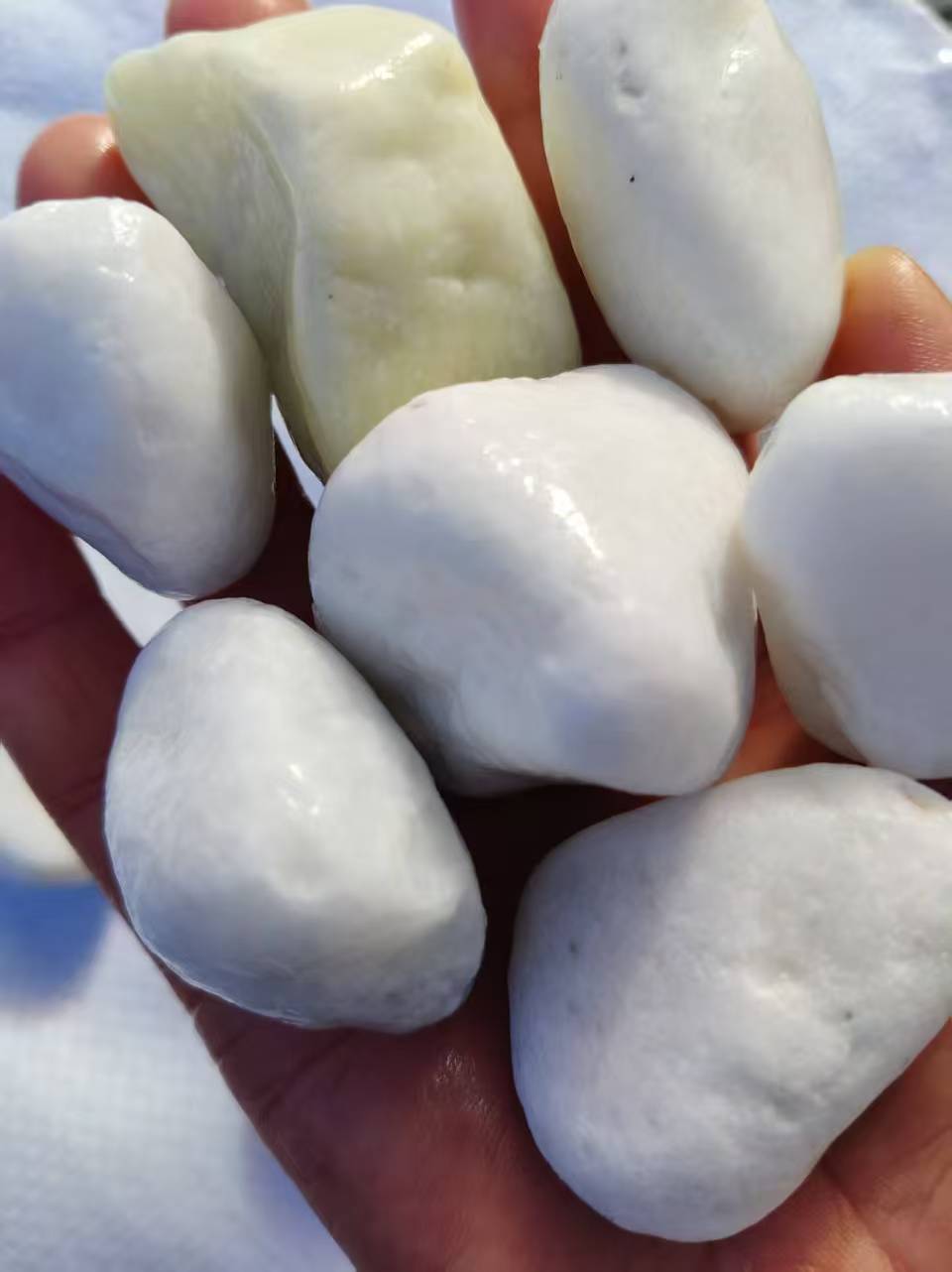 水磨石白色球石