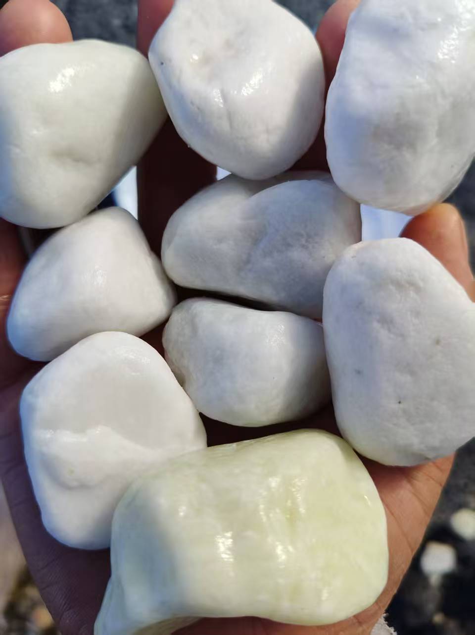 水磨石白色球石